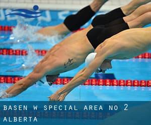 Basen w Special Area No. 2 (Alberta)