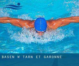 Basen w Tarn-et-Garonne