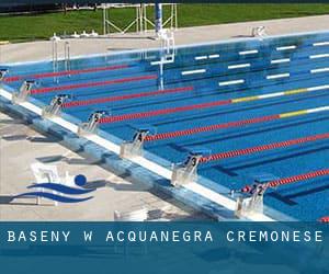 Baseny w Acquanegra Cremonese