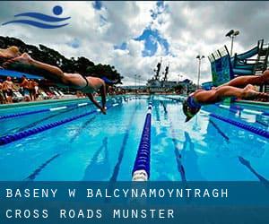 Baseny w Balcynamoyntragh Cross Roads (Munster)