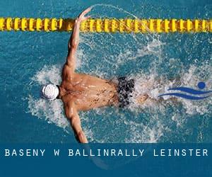 Baseny w Ballinrally (Leinster)