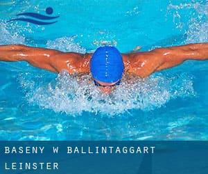 Baseny w Ballintaggart (Leinster)