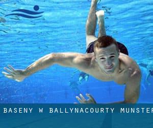 Baseny w Ballynacourty (Munster)