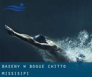 Baseny w Bogue Chitto (Missisipi)