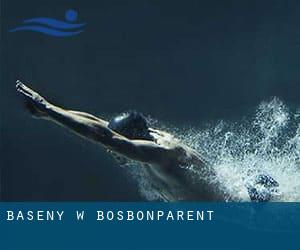 Baseny w Bosbonparent