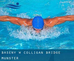 Baseny w Colligan Bridge (Munster)