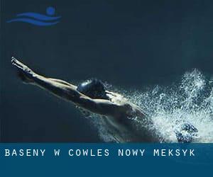 Baseny w Cowles (Nowy Meksyk)