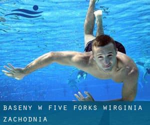 Baseny w Five Forks (Wirginia Zachodnia)