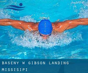 Baseny w Gibson Landing (Missisipi)