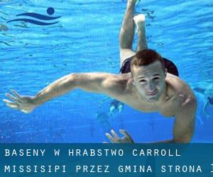 Baseny w Hrabstwo Carroll Missisipi przez Gmina - strona 1