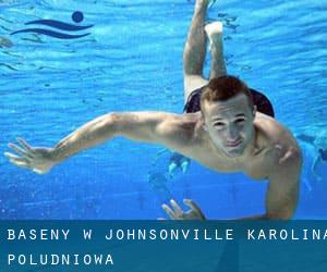 Baseny w Johnsonville (Karolina Południowa)