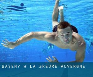 Baseny w La Breure (Auvergne)