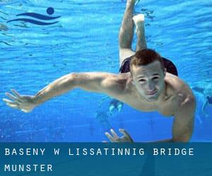 Baseny w Lissatinnig Bridge (Munster)