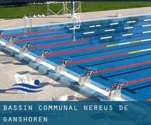 Bassin Communal Nereus de Ganshoren