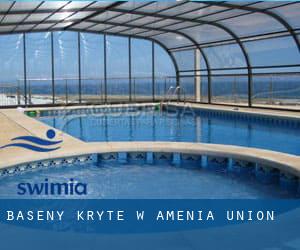 Baseny Kryte w Amenia Union