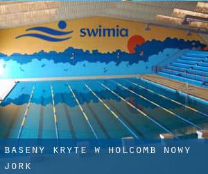 Baseny Kryte w Holcomb (Nowy Jork)