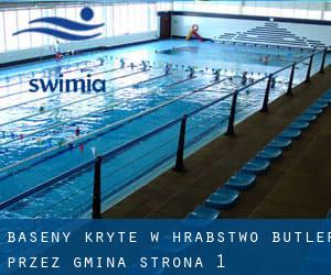 Baseny Kryte w Hrabstwo Butler przez Gmina - strona 1