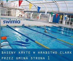 Baseny Kryte w Hrabstwo Clark przez Gmina - strona 1