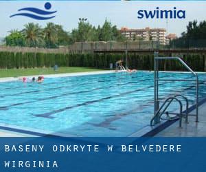 Baseny Odkryte w Belvedere (Wirginia)