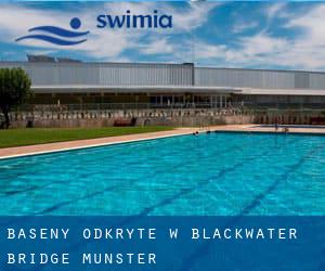 Baseny Odkryte w Blackwater Bridge (Munster)