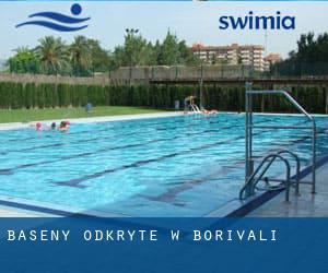 Baseny Odkryte w Borivali