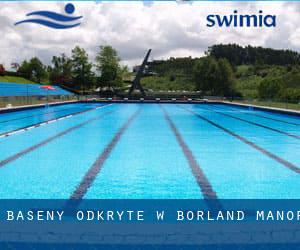 Baseny Odkryte w Borland Manor