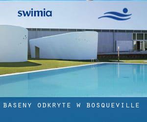 Baseny Odkryte w Bosqueville