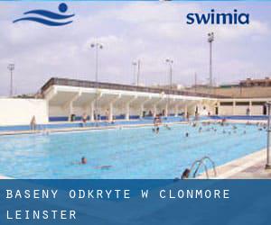 Baseny Odkryte w Clonmore (Leinster)