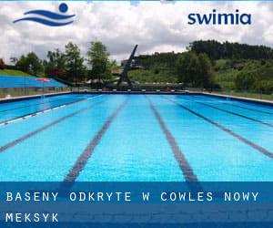 Baseny Odkryte w Cowles (Nowy Meksyk)