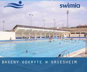 Baseny Odkryte w Griesheim