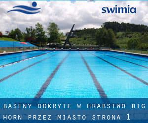 Baseny Odkryte w Hrabstwo Big Horn przez Miasto - strona 1