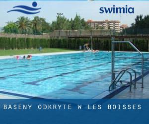 Baseny Odkryte w Les Boisses