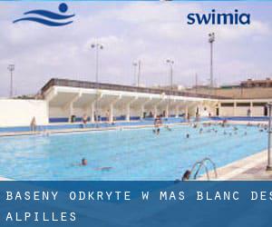 Baseny Odkryte w Mas-Blanc-des-Alpilles