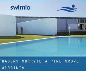 Baseny Odkryte w Pine Grove (Wirginia)