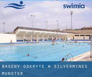 Baseny Odkryte w Silvermines (Munster)