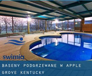 Baseny Podgrzewane w Apple Grove (Kentucky)