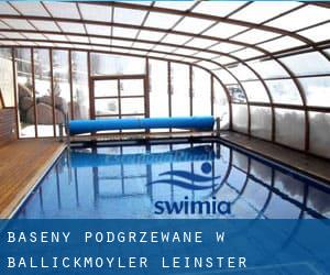 Baseny Podgrzewane w Ballickmoyler (Leinster)