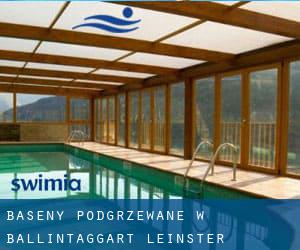 Baseny Podgrzewane w Ballintaggart (Leinster)