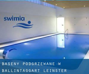 Baseny Podgrzewane w Ballintaggart (Leinster)