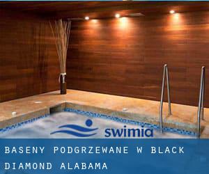 Baseny Podgrzewane w Black Diamond (Alabama)