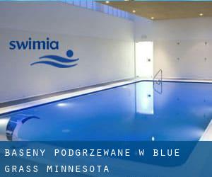 Baseny Podgrzewane w Blue Grass (Minnesota)