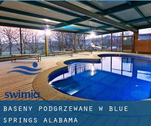 Baseny Podgrzewane w Blue Springs (Alabama)