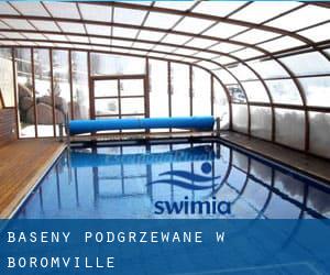 Baseny Podgrzewane w Boromville