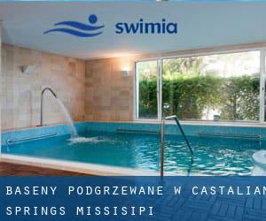 Baseny Podgrzewane w Castalian Springs (Missisipi)