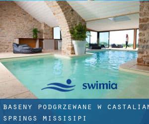 Baseny Podgrzewane w Castalian Springs (Missisipi)