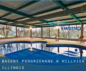 Baseny Podgrzewane w Hillview (Illinois)