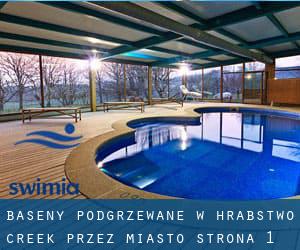 Baseny Podgrzewane w Hrabstwo Creek przez Miasto - strona 1