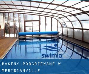 Baseny Podgrzewane w Meridianville