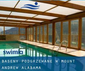 Baseny Podgrzewane w Mount Andrew (Alabama)