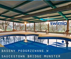 Baseny Podgrzewane w Saucestown Bridge (Munster)